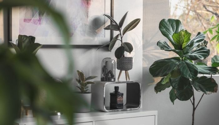 Why Your House Feels Hot Even When It Is Not